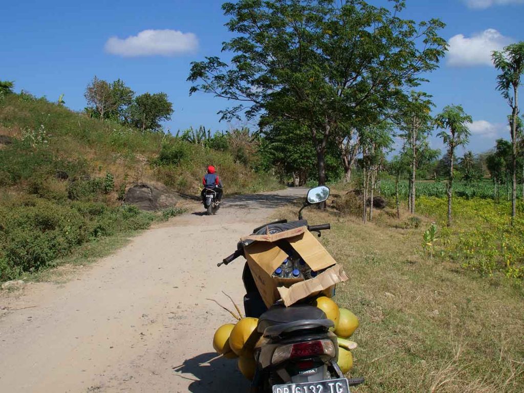 balade-lombok-scooter